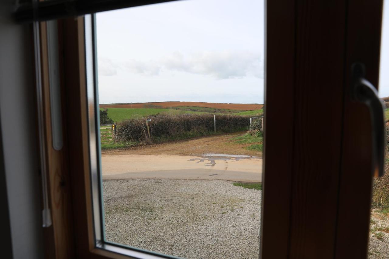 Northlight, Port Isaac Bay Holidays Exterior foto