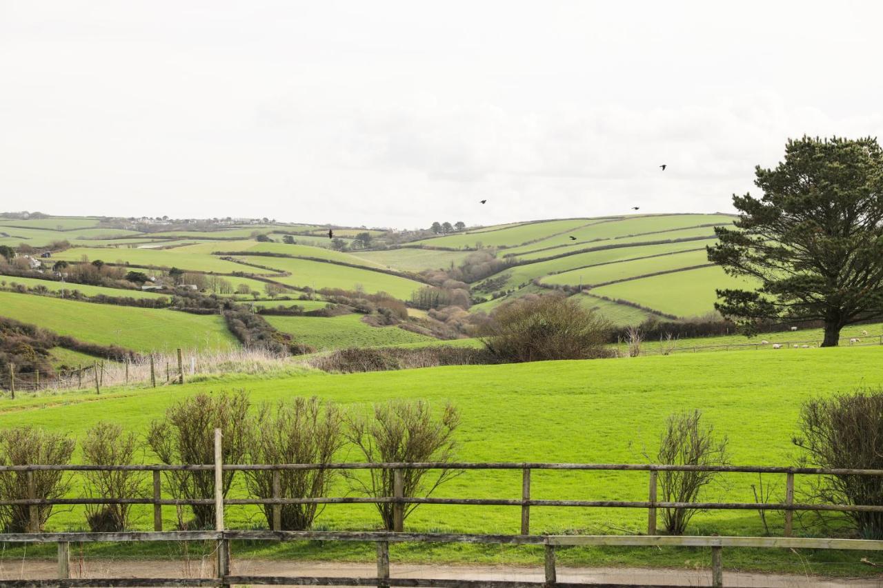 Northlight, Port Isaac Bay Holidays Exterior foto